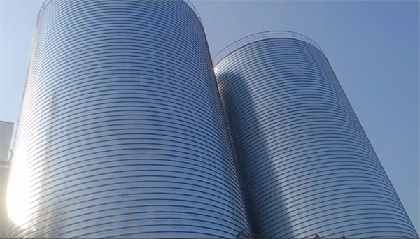 台儿庄2座混凝土高架卷板仓